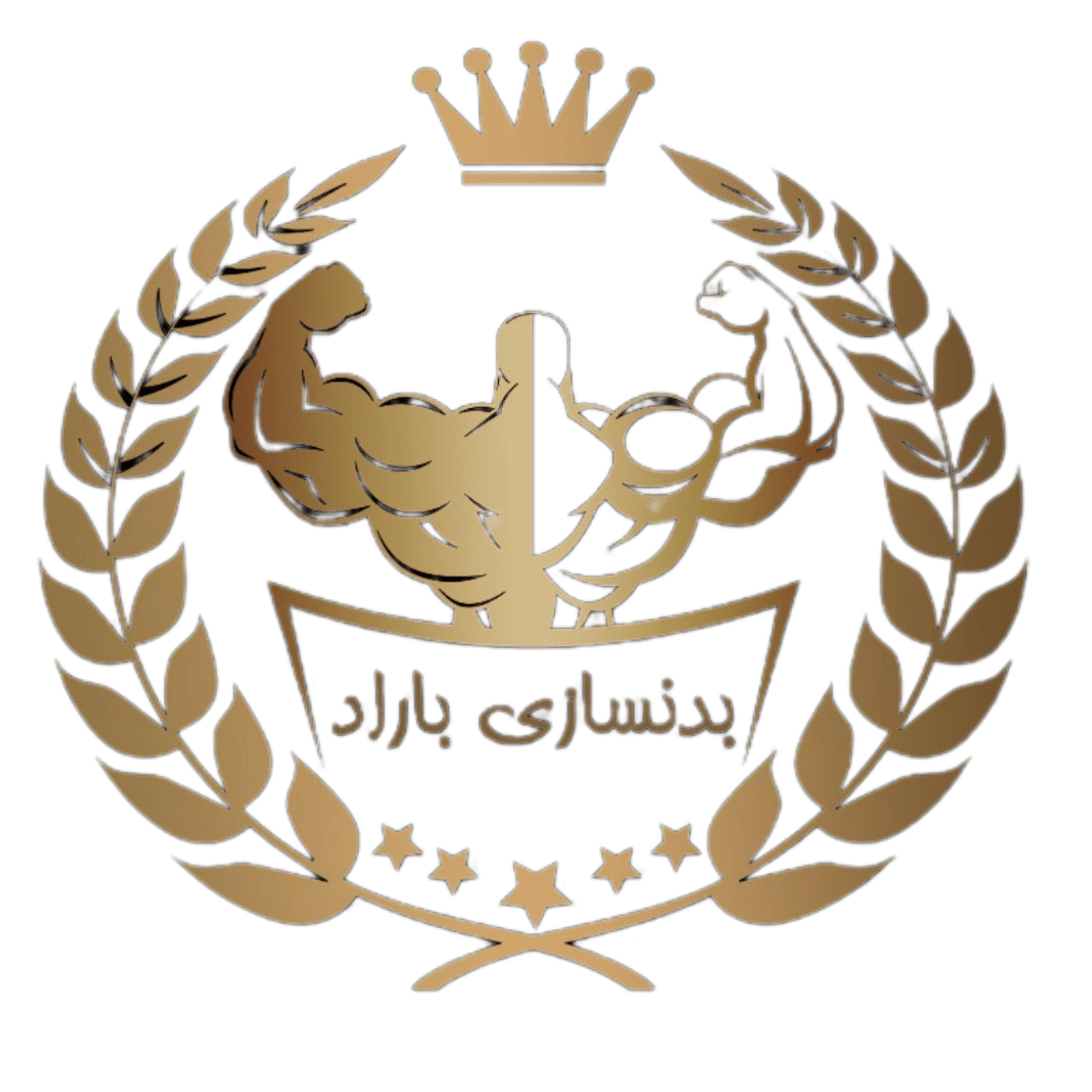 لوگو باشگاه بدنسازی باراد